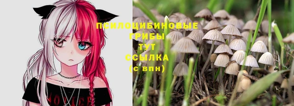 мескалин Абаза