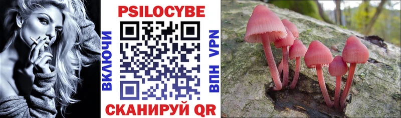 Псилоцибиновые грибы мицелий Усть-Катав